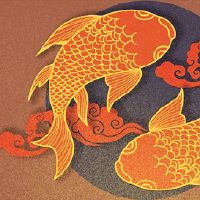 鸡和兔究竟谁克谁啊