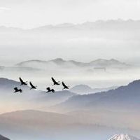 手机尾号七好不好 手机号尾数7什么寓意