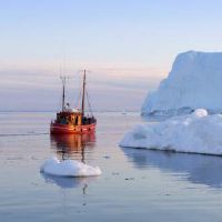 大门口栽些什么类型的树寓意比较好