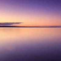 2022年6月白羊座运势及运程 2022年6月白羊座运势完整解读