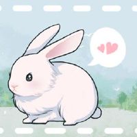 属兔人一生有几次桃花运 异性缘旺感情经历丰富