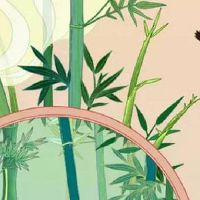 车牌怎么选吉祥数字 车牌5代表什么含义