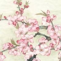 2022年10月24日出生的女孩子八字五行查询 福禄双全 飞黄腾达