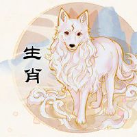 这些方位是属狗人2022年的财位 让你财源广进赚的盆满钵满