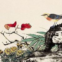 两个双斗纹智商高出常人 聪慧机敏爱好探索