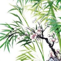 2022年11月6日出生属虎女孩命理好不好 洪福齐天 吉人天相