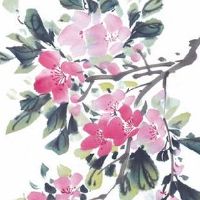 男孩哪种耳朵最有福气 男人什么样的耳朵有福气