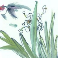 女人哪种眉形财运最好 虎眉更显现事业成就发展