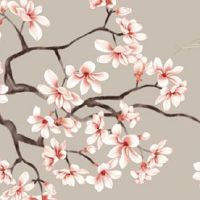 小暑节气下雨好还是出太阳好 农事活动的建议