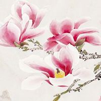 2022年11月24日出生属虎男宝宝命格查询 生活幸福 事业顺心