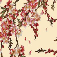 属猴女1980后半生的命运 事业运势一路飙升