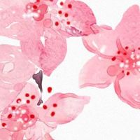 属兔人2022年12月宜结婚日子 结亲上等吉日