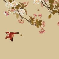 属兔人2022年最旺方位 知错能改财路通顺