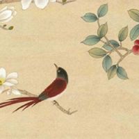 八字中带半合局好不好 半合闸属于五行相克