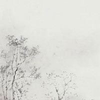 男人旺财眉型图片 12种眉毛大全