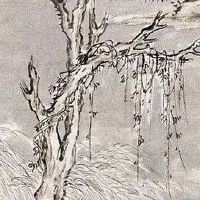 属狗和属虎的相配吗 女虎男狗的婚姻生活幸福