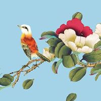 车牌有69是啥意思 69的车牌号是否吉祥