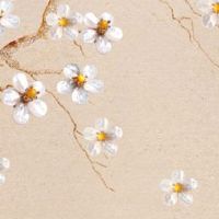 1963年的兔今年的财运 事业出彩指日可待