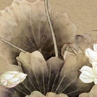 禄存天同入夫妻宫 天同星坐宫有吉星庇佑