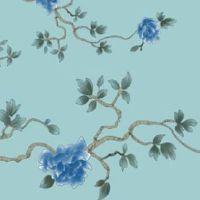 2001年属蛇人佩戴什么饰品 转运珠为最佳饰品