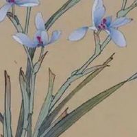 女人不能用的手机号码 能量大吉带财的手机数组