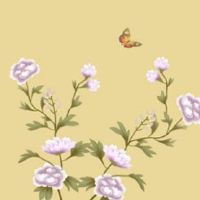 属龙的过了34岁就顺了 保持低调前路顺遂