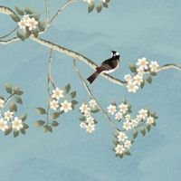 K字母在车牌中有什么意义 顺风顺水的吉祥牌号