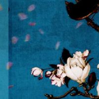 2001年属蛇人2022年上半年运势如何 如何避免破财