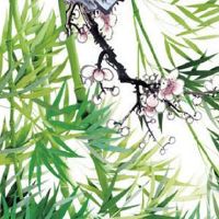 女人手掌有三角纹好吗 天生好命事业出众