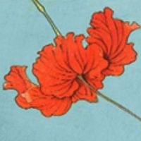 2022年12月属兔的哪几天可以出行 适合出远门的吉利日子