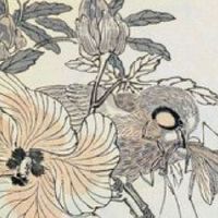 八字算桃花运何时出现 怎么看八字有没有带桃花