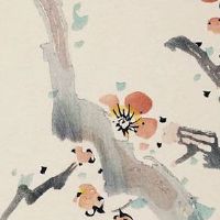 八字寅卯辰三会局是大贵人吗 三会东方木锦上添花