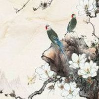 三合局吉凶 八字地支三合局的人