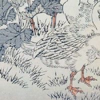 八字看是不是正缘 日柱相合是正缘吗