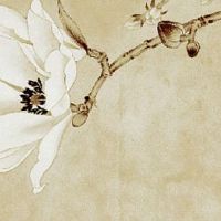 2023年1月6日出生的女宝宝命格查询,是什么命五行属什么