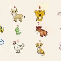 2022年7月8日冲什么生肖,今日属什么生肖