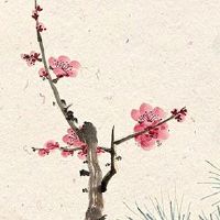 属虎女和哪些属相最配 与生肖马有相似之处