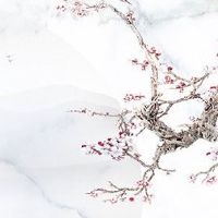 有2朵正缘桃花会有几次婚姻 正缘桃花一朵会离婚吗