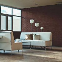 客厅摆放什么吉祥物可以提升财运