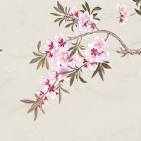 属龙和属蛇的婚姻相配吗 龙和蛇在一起财运节节高升