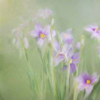 卧室带阳台的影响 注意使用窗帘遮挡