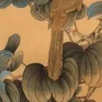 1971猪人用什么手机号码最好 生肖猪天医磁场发财靓号组合