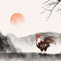 属鸡的事业方位在哪 东南正西发展顺利