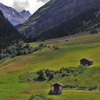 四两的男命婚姻怎么样会有几次婚姻