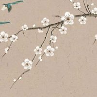 婚姻宫是墓库怎么办 墓库就一定不好吗