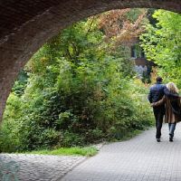 最向往婚姻的三个星座是谁