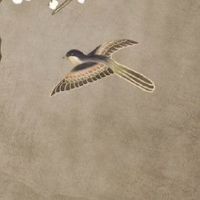 车尾号哪个数字好 车号意义数字大全