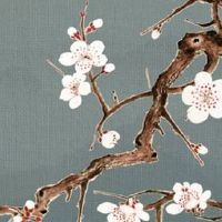 夫妻宫被合怎么化解 八字婚姻宫怎么算