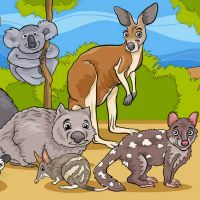 太阳双子月亮射手性格特点 优缺点解析