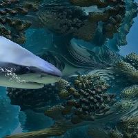 太阳巨蟹月亮水瓶性格特点 优缺点解析